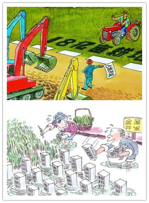 土壤侵蝕是什么？什么導致了土壤侵蝕？(圖3)