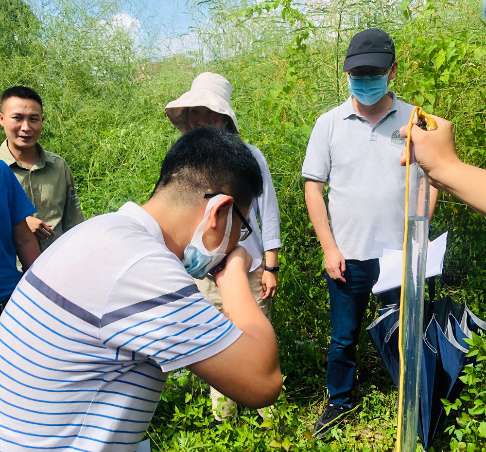 廣碧環?！独樟鹘值牢魅A村幼兒園新建工程佛山市順德區勒流街道圣德路1號地塊土壤污染狀況初步調查報告》通過專家評審會(圖3)